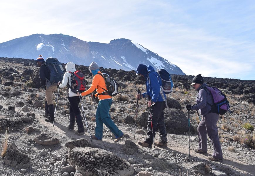 10 Days Mount Kilimanjaro Trek Lemosho Route