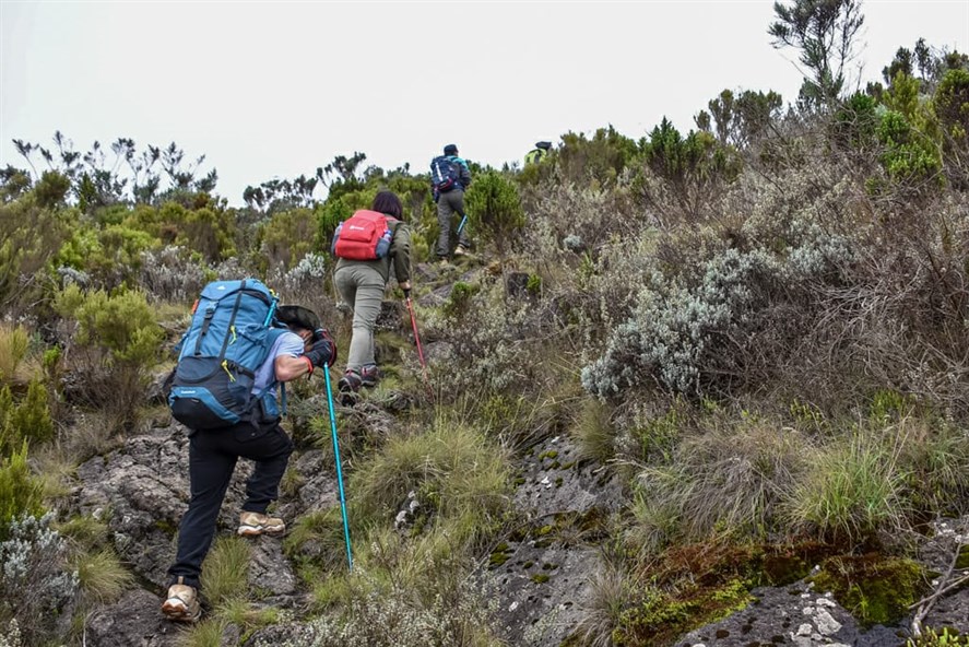 Aberdare Ranges Hiking