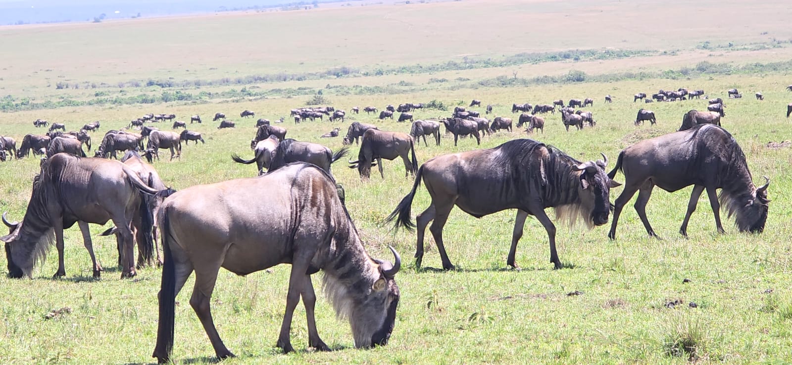 7 Days & 6 Nights Unforgettable Tour Safari