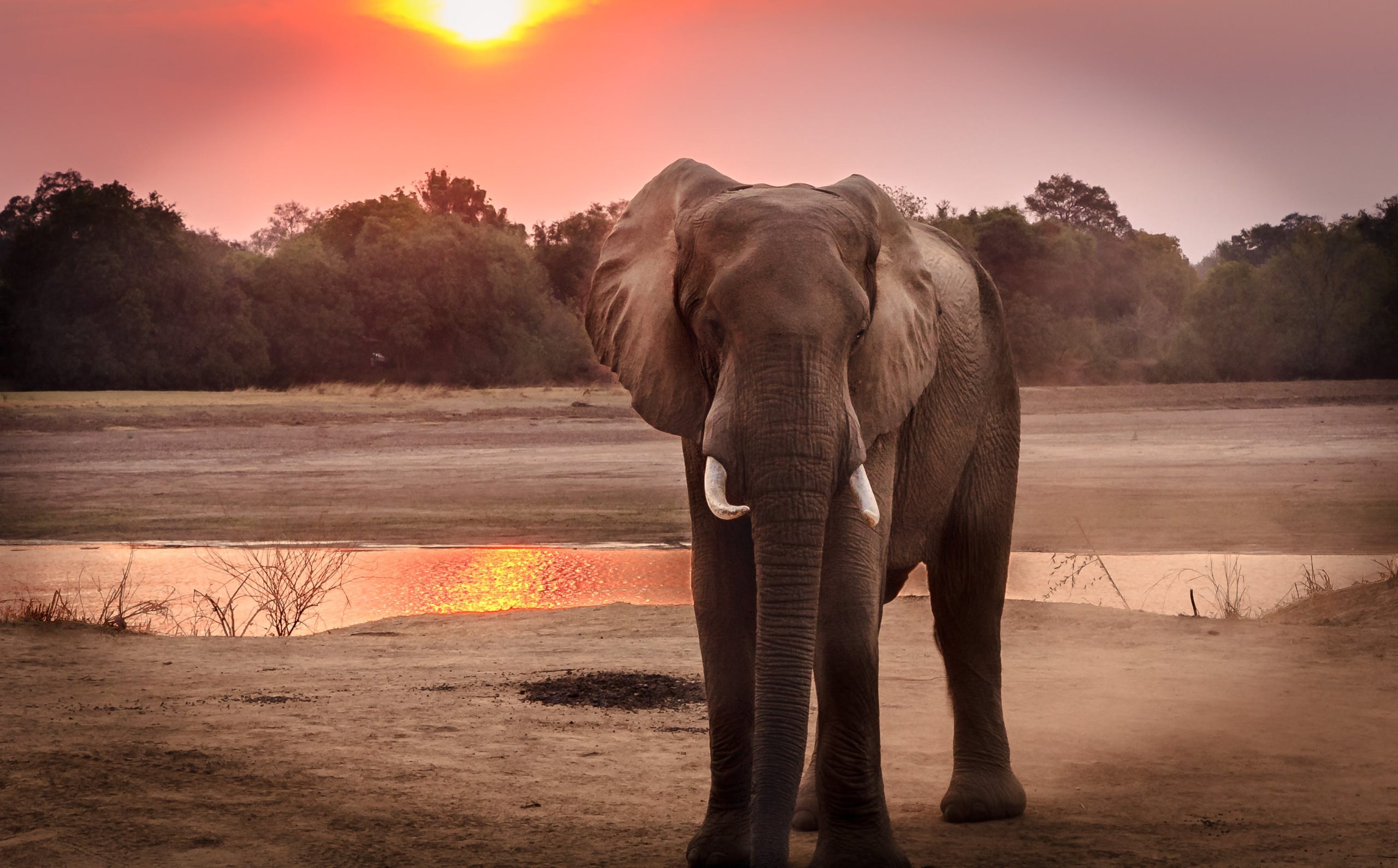 4 days 3 Nights Masai Mara, Lake Naivasha Lodge Accomodation
